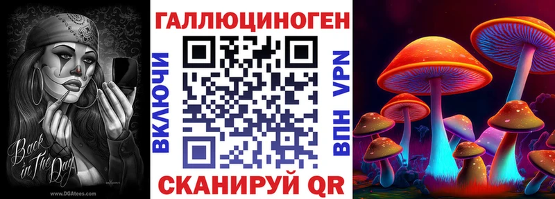 блэк спрут вход  Камбарка  shop состав  Псилоцибиновые грибы GOLDEN TEACHER 