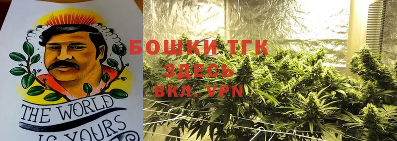 Канабис Bruce Banner  Камбарка 